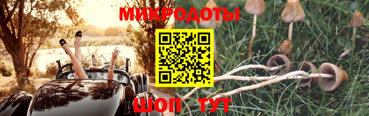 Псилоцибиновые грибы ЛСД Дедовск